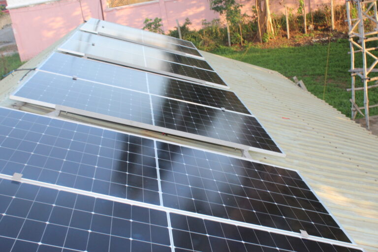 From Sunlight To Sustainability
